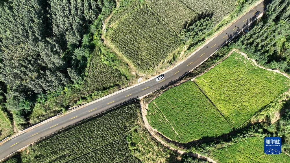动物跑跑跑压分技巧
